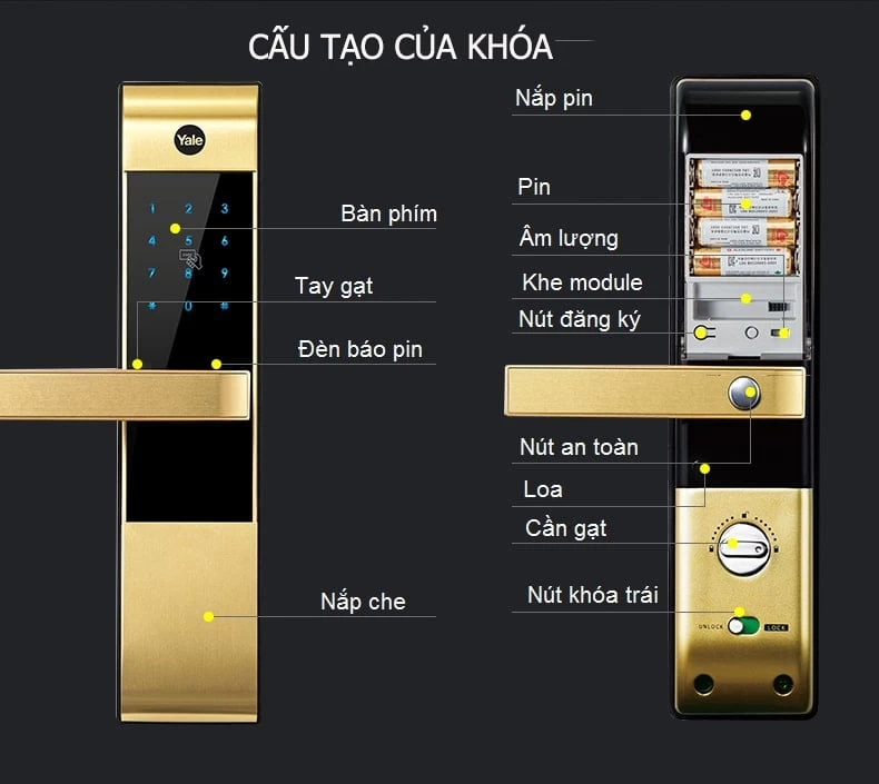 cau-tao-khoa-3109-min