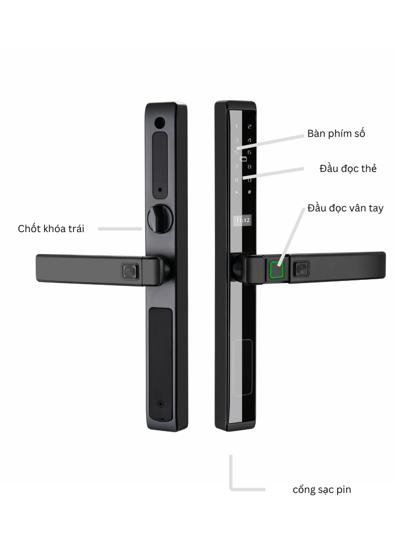 nut-5-768x1075